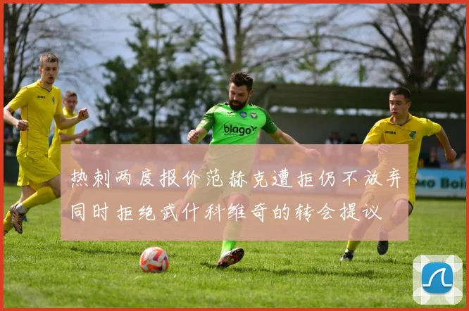 热刺两度报价范赫克遭拒仍不放弃同时拒绝武什科维奇的转会提议
