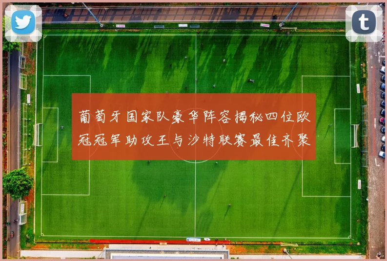 葡萄牙国家队豪华阵容揭秘四位欧冠冠军助攻王与沙特联赛最佳齐聚一堂